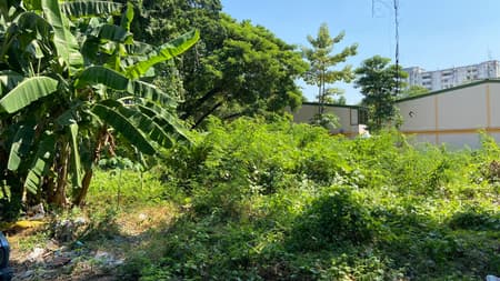 Suan San Pocket Park